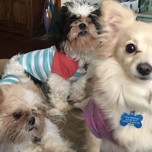 Meet your Posher, Andrew